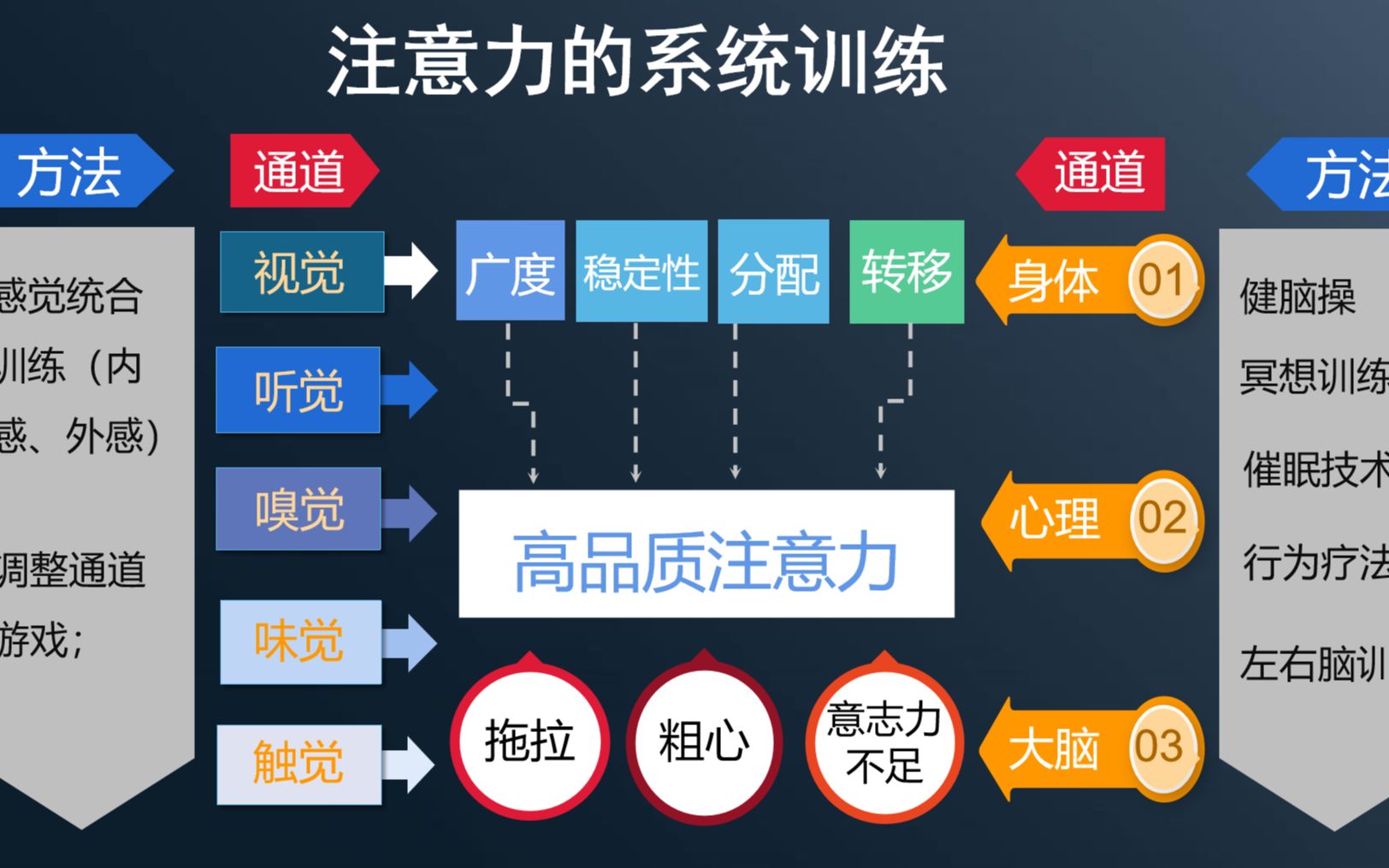 注意力广度哔哩哔哩bilibili