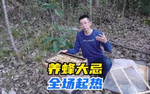 Download Video: 把蜂养强并不是高手，能够游刃有余的控制分蜂热才是本事