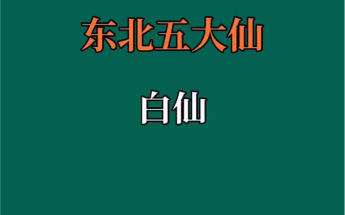 [图]东北五大仙“白仙”（刺猬）