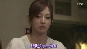 北川景子番宣射箭7 6 09零秒出手 哔哩哔哩 つロ干杯 Bilibili