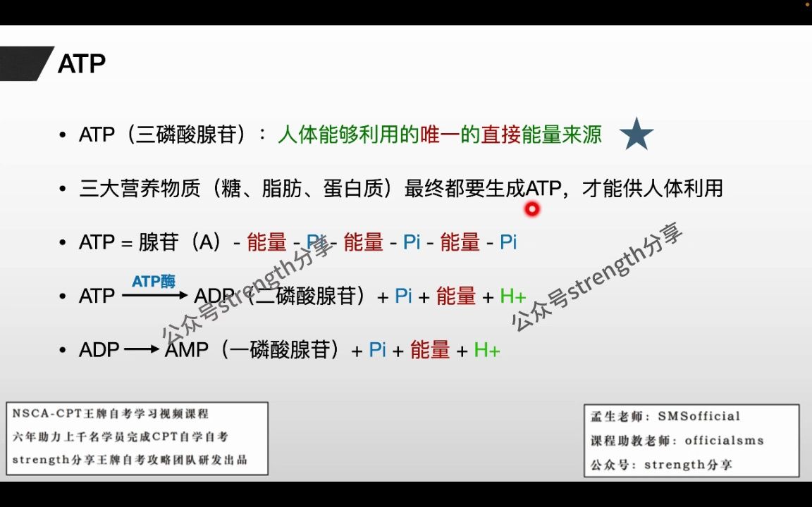 [图]训练能量：合成代谢与分解代谢