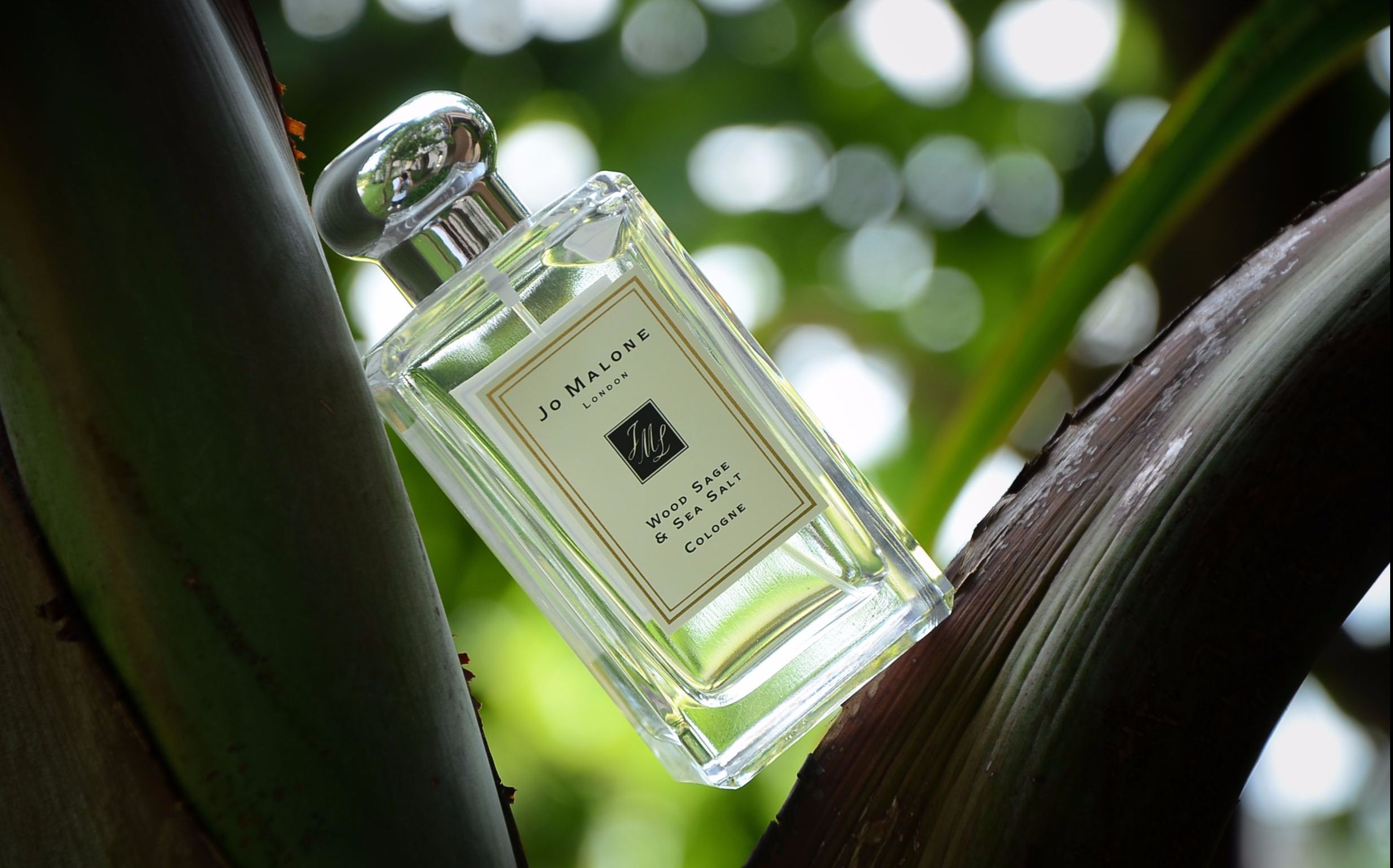 【半斤】香水评测04|鼠尾草海盐