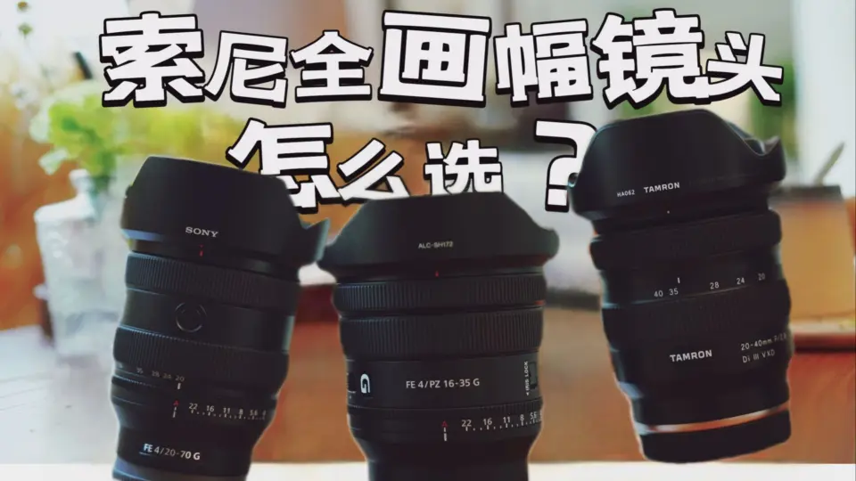 Tamron 17-70mm F2.8 VS Sony 16-55mm F2.8 Comparison 