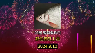 【俄钓4】银鲷鱼炸口，速来20图捕获！