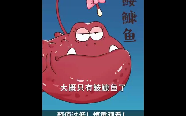 男女通吃的安康鱼