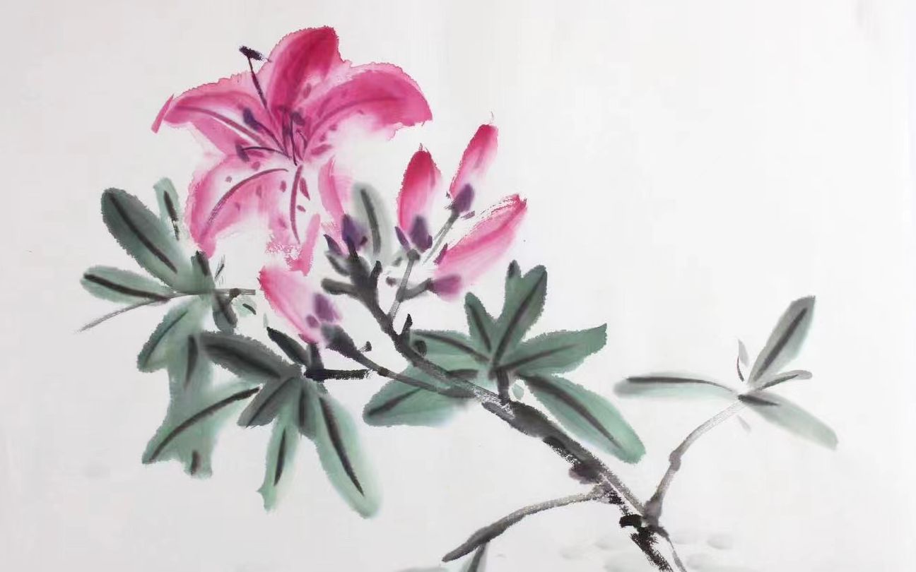 绘小圈国画课程-杜鹃花