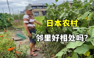 Скачать видео: 都说日本人礼貌疏远，在日本农村生活，邻里关系真的很难维持？