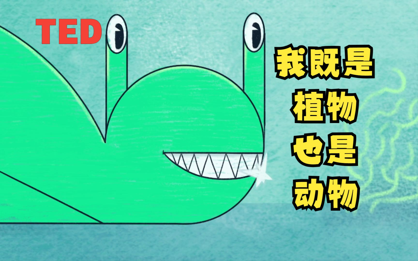 [图]【TED-Ed】它既是动物也是植物|These animals are also plants ... wait, what?