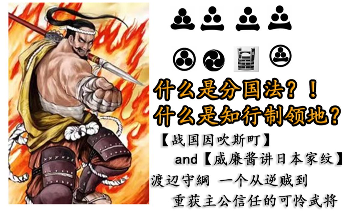 什么是分国法什么是知行制领地三河一向一揆怎么搞出来的战国因吹斯丁