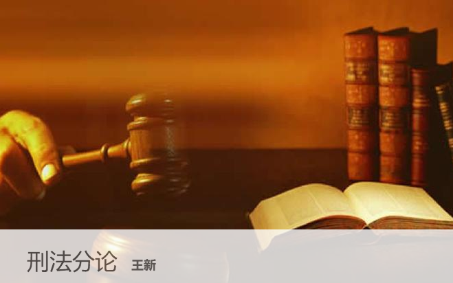 [图]【法学】【刑法学】北京大学 刑法分论  主讲-王新【全84讲】