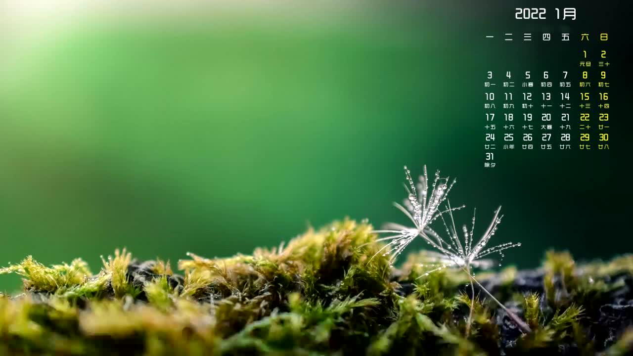 ppt 背景 壁纸 电脑桌面 发芽 花 绿色 绿色植物 嫩芽 嫩叶 新芽 植物