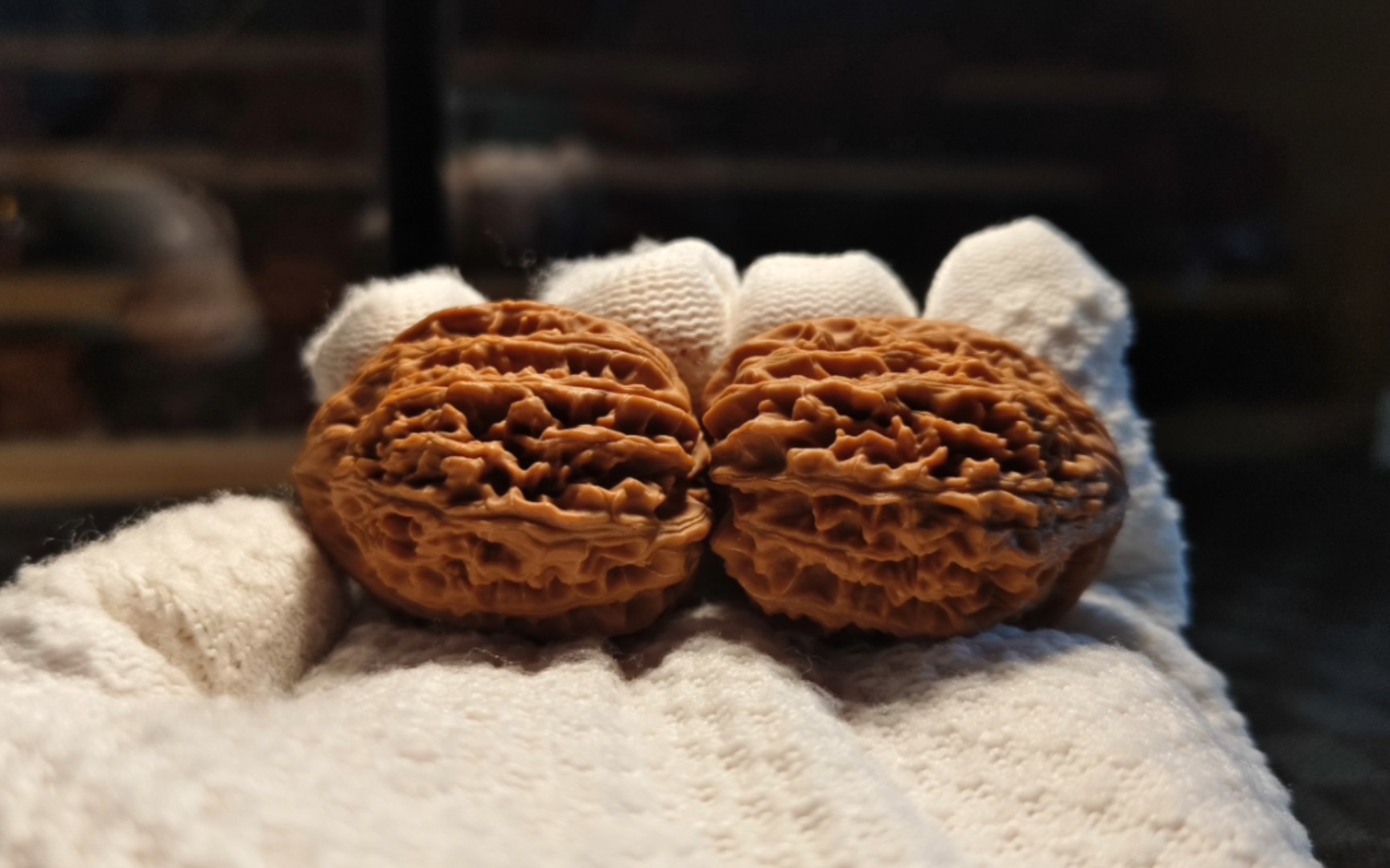 0起 拍对九龙筋的体验款