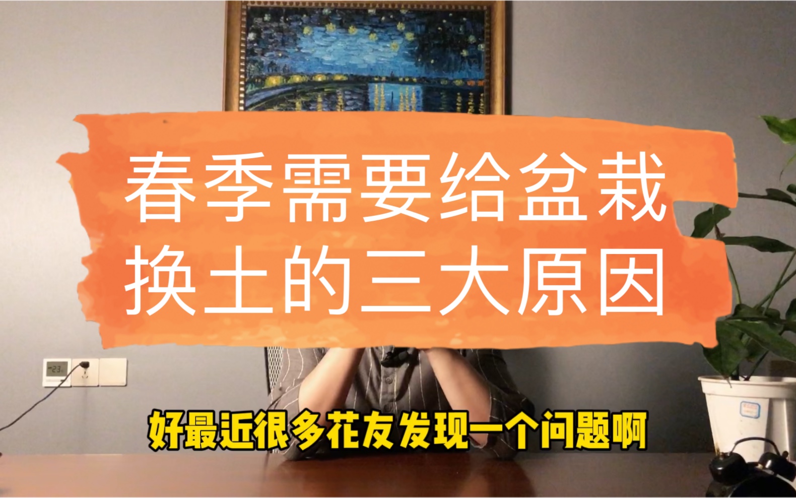 春季植物叶子变小、畸形、黄叶?有可能你没有做这一步!——硬核植物学哔哩哔哩bilibili