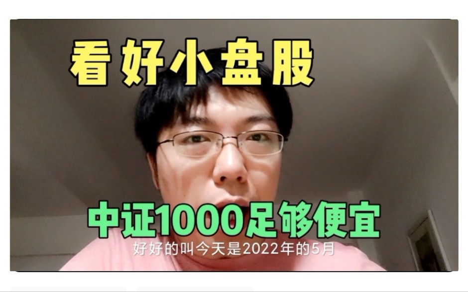 为什么我喜欢小盘股?我已经抄底一大堆中证1000指数增强基金.村长Taylor哔哩哔哩bilibili