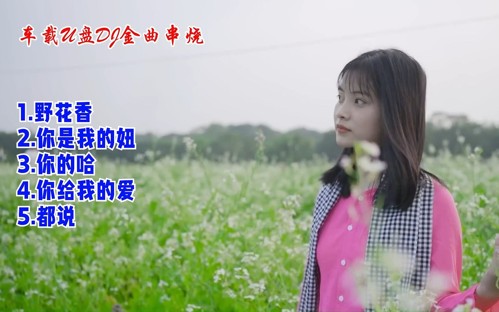 [图]车载U盘DJ金曲串烧 - 《野花香》《你是我的妞》《我的哈》《你给我的爱》《都说》