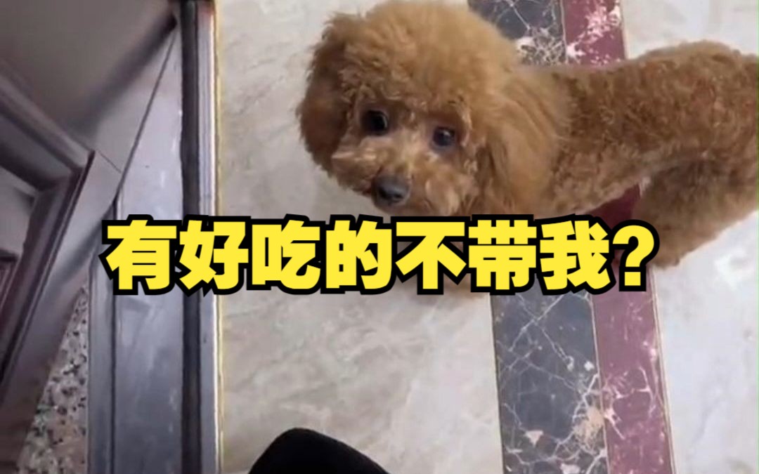 狗:是不是去吃宵夜 不带我?我就叫