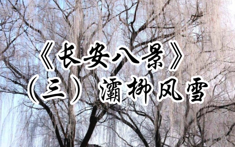 【古筝】《长安八景》(三)灞柳风雪哔哩哔哩bilibili