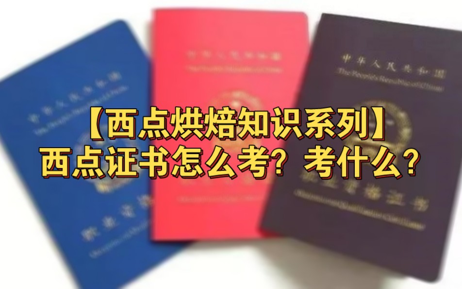 【西点烘焙内幕系列】西点证书如何考?考什么?一个视频告诉你哔哩哔哩bilibili