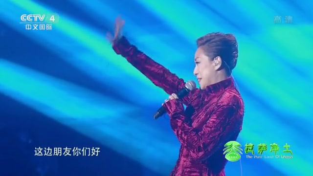 [图]【林忆莲】至少还有你＋为你我受冷风吹___CCTV4小年夜特别节目