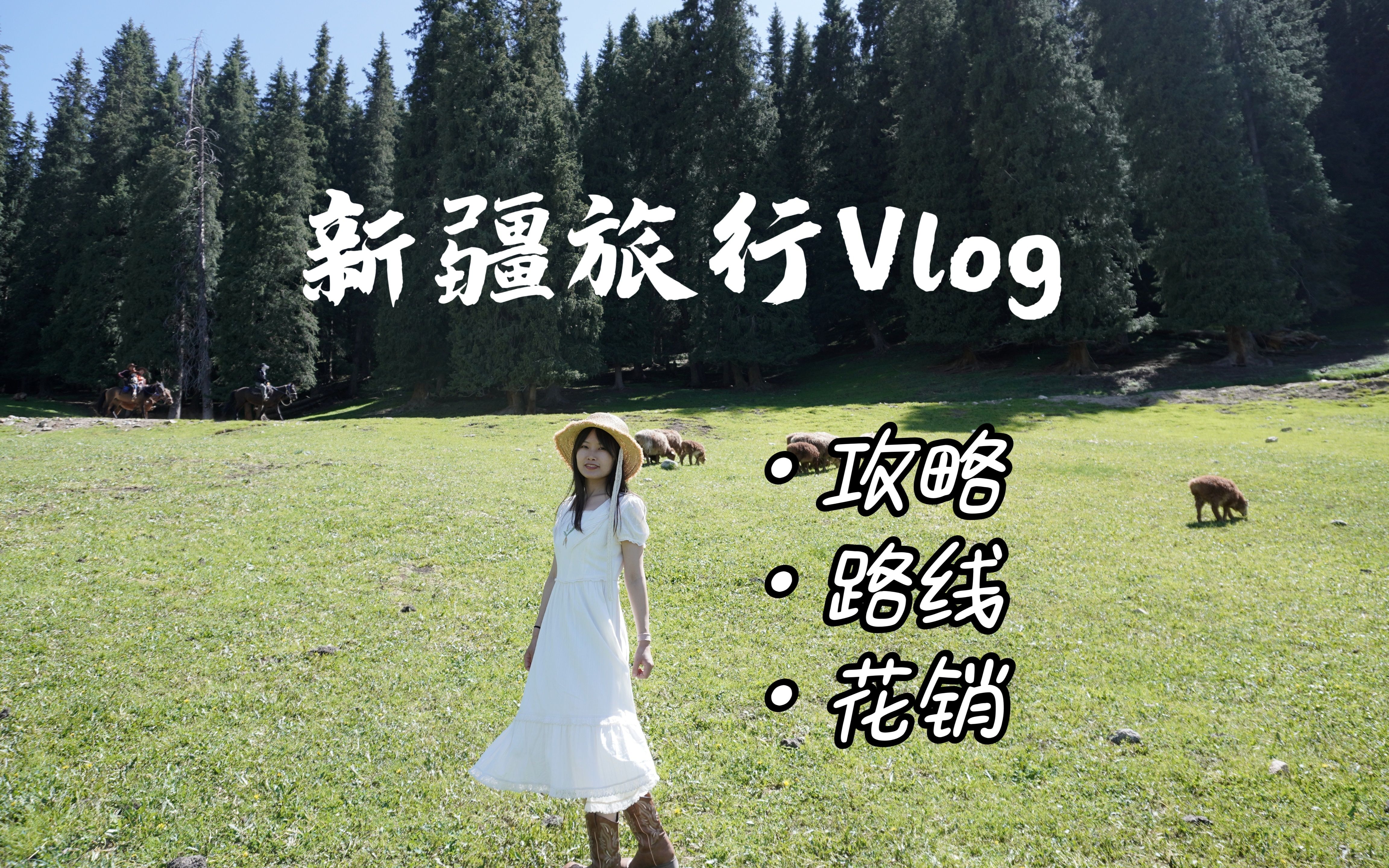 新疆Vlog|伊犁自驾游 6天6晚俩人花费8000多哔哩哔哩bilibili