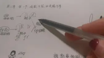 Tải video: 没懂减数分裂的快进来，这是你最后一次机会！！