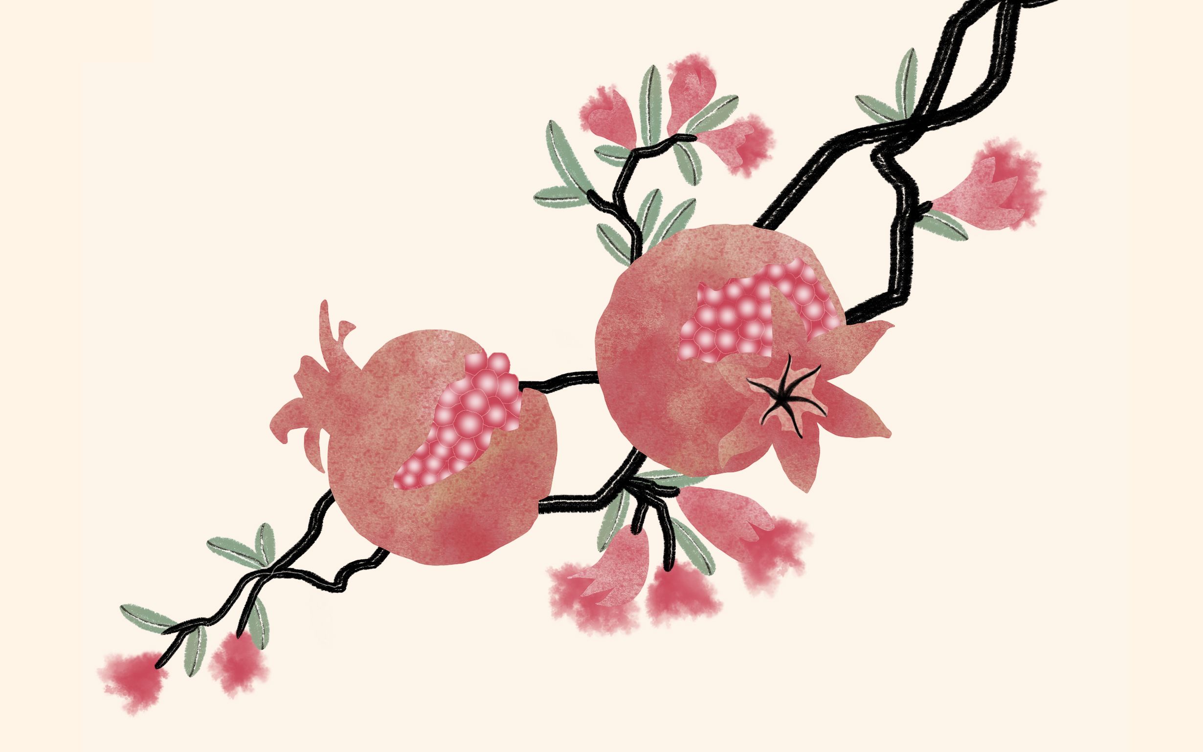 【双语国画】石榴92零基础教程(带讲解)