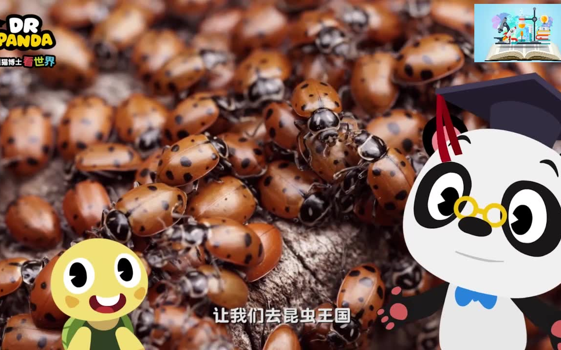 [图]【趣味科普】昆虫奇遇记：小昆虫的大世界