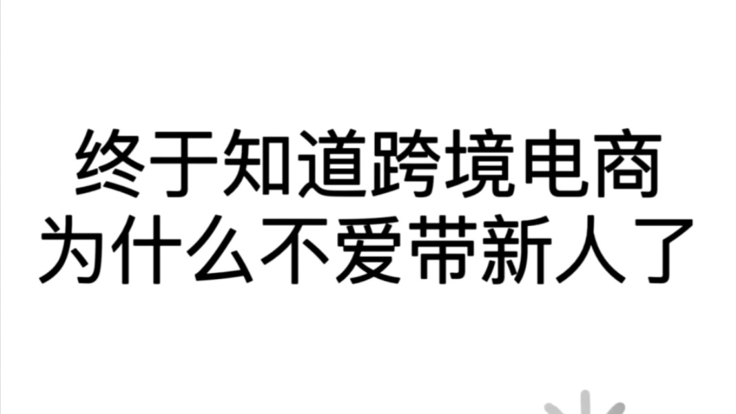 总算知道跨境电商为什么不爱带新人了哔哩哔哩bilibili