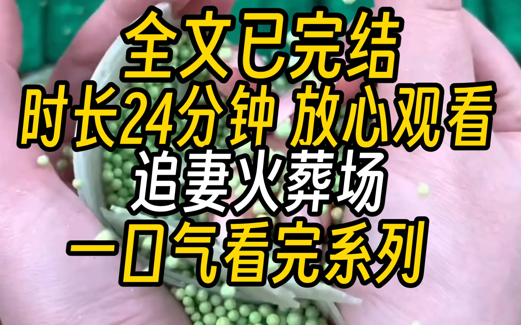 [图]【全文已完结】我是他白月光的替身，陪了他七年。但还是比不过他白月光的一句我回来了。后来他跪在我面前「你明明已经有了感情，你答应要陪我一辈子的。」我只是茫然的看着