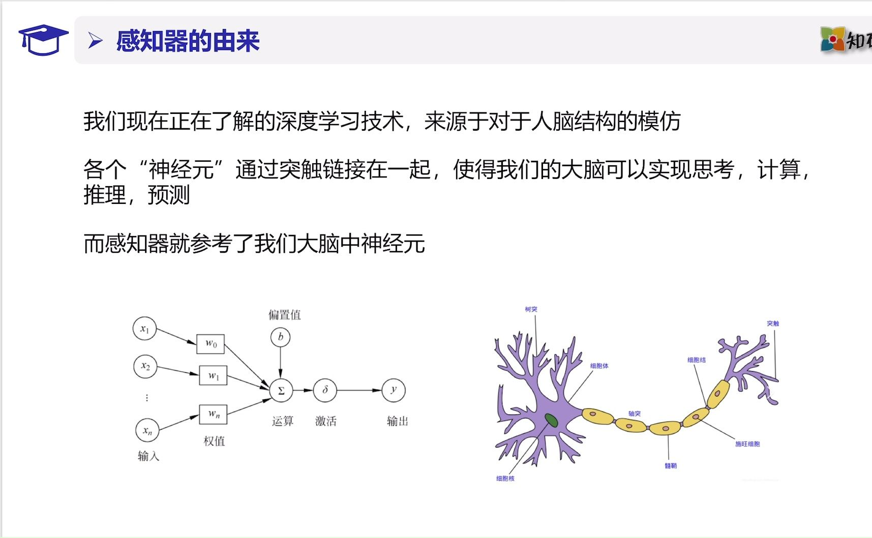 国科大人工智能883考研知识点讲解(人工智能基础:感知器模型)