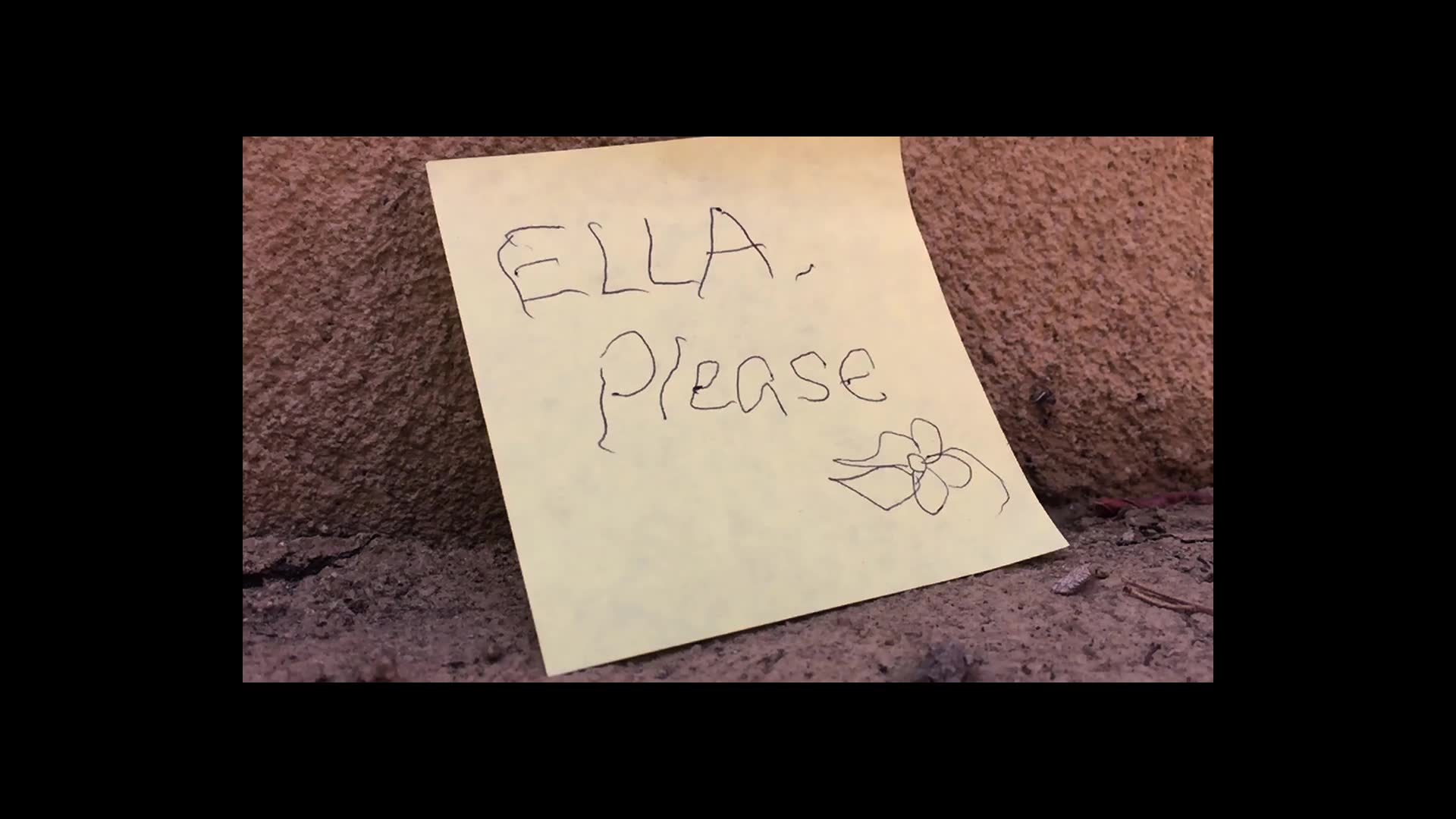 [图]Ella, Please | NYFA 2017