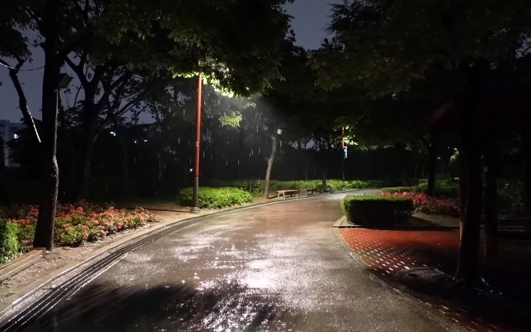 [图]自然之声 | 雨声 | 助眠 有气氛的公园里的雨声