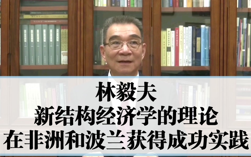 林毅夫:首次由发展中国家提出来的理论和经验,推向世界,并实践成功哔哩哔哩bilibili