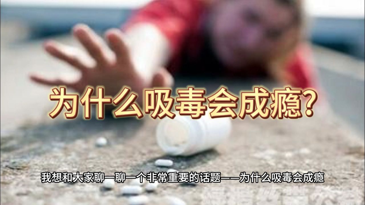 【青少年禁毒知识小课堂】吸毒为什么会成瘾哔哩哔哩bilibili