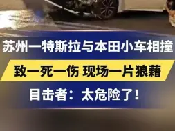 Video herunterladen: 苏州一特斯拉与本田小车相撞，致一死一伤 现场一片狼藉，目击者：太危险了！#车祸#苏州