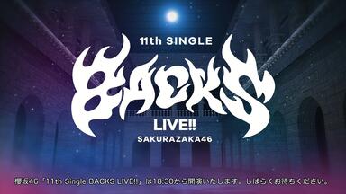 全曲集】2024.12.04 櫻坂46「10th Single BACKS LIVE!!」Day2_哔哩哔哩