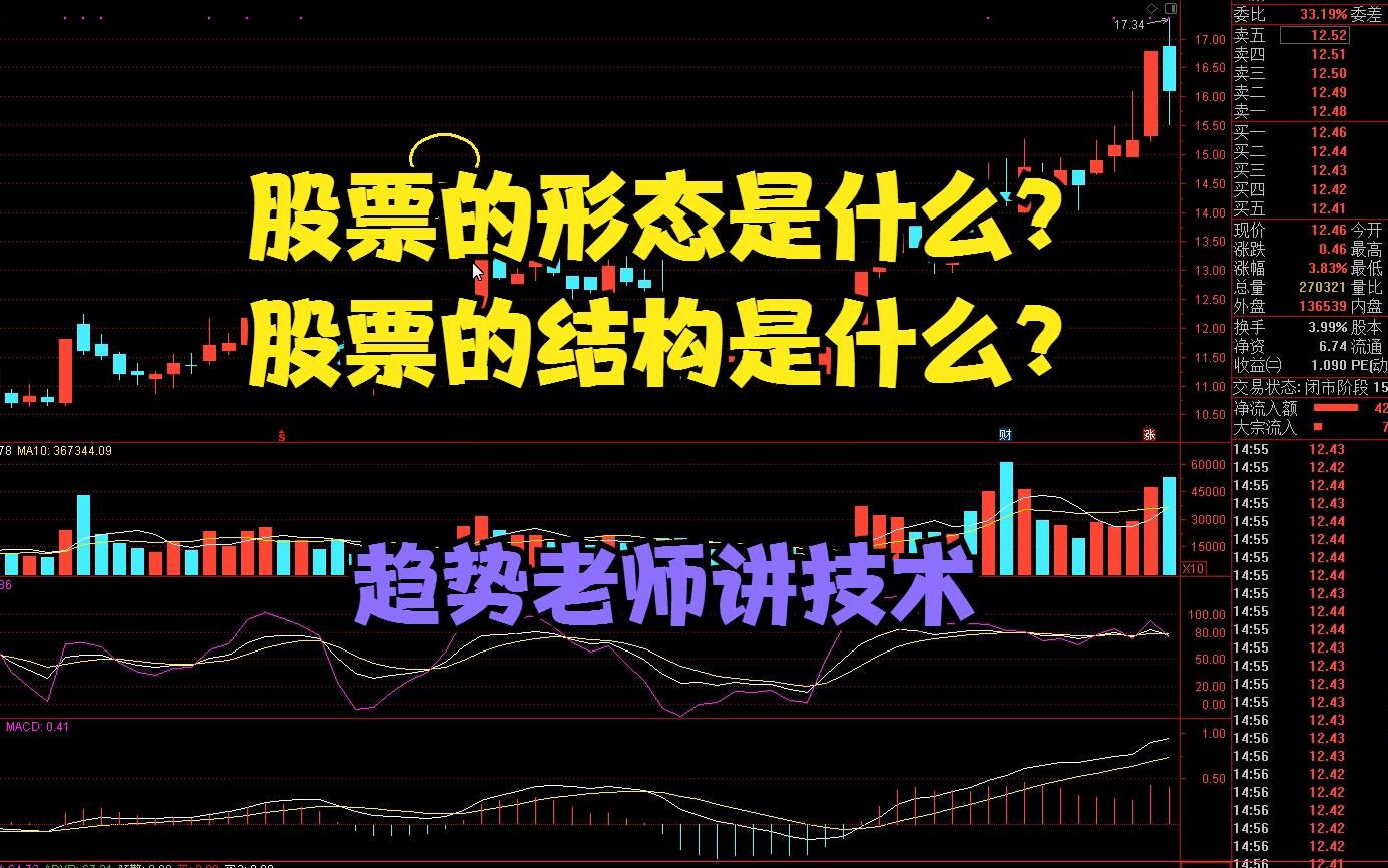 股票形态是什么?股票的结构是什么?哔哩哔哩bilibili