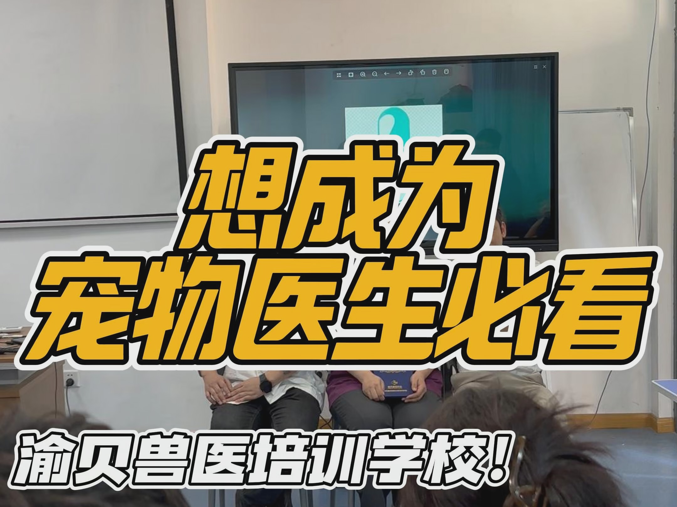 想当兽医一定不要错过!哔哩哔哩bilibili