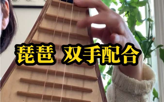 【琵琶蛮】左手的技术掌握