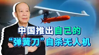 Tải video: 中国推出自己的“弹簧刀”自杀无人机，飞鸿901有什么神奇之处？