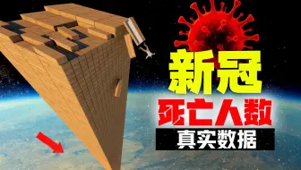 💀新冠致死病例数据⚰️⚰️⚰️