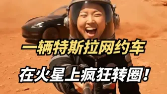 假如一辆特斯拉网约车，在火星没有联系到客人，疯狂转圈！