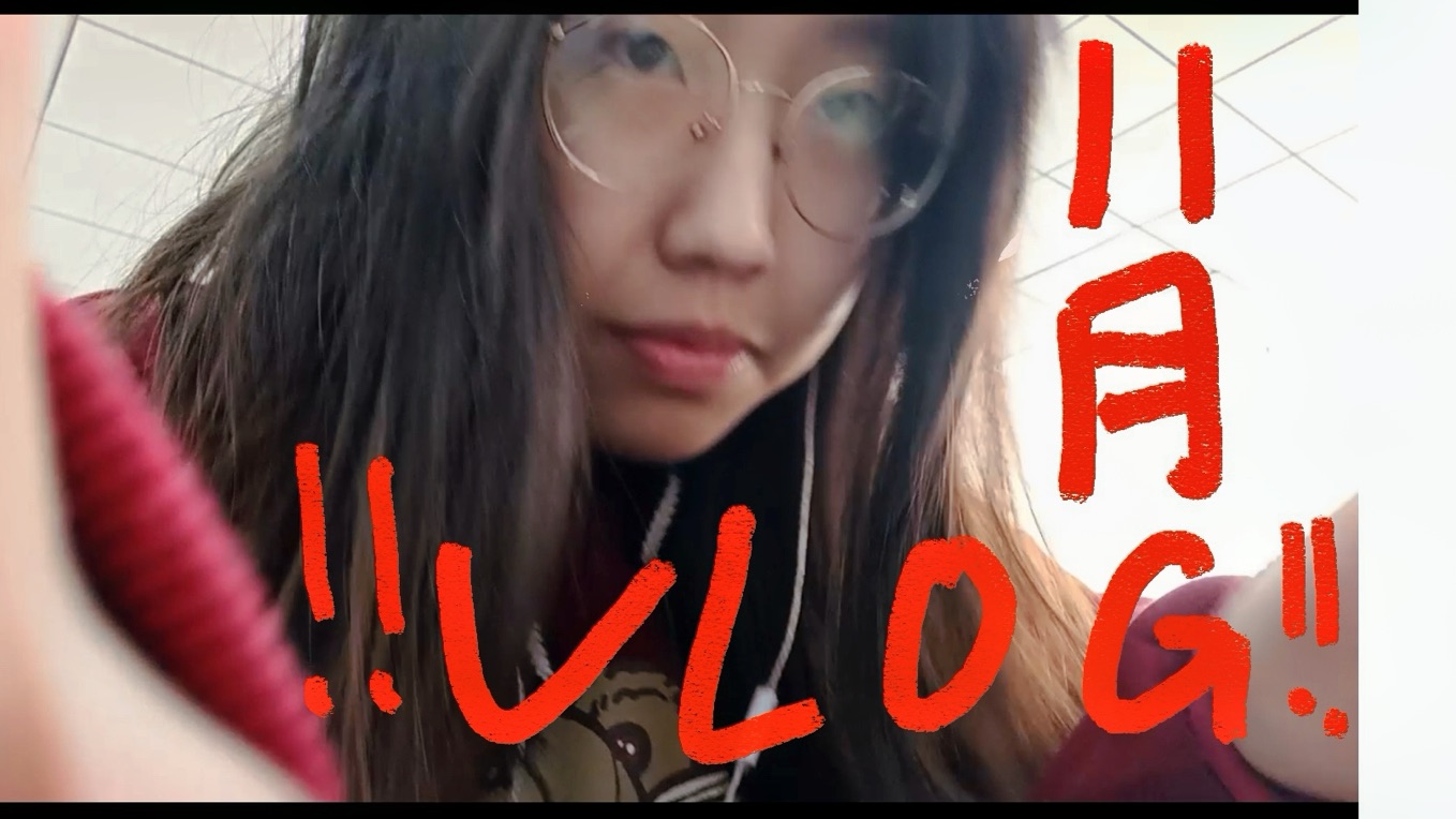 大四VLOG丨学不完了于是夹缝生存的11月碎片(为什么11月还会被蚊子吵醒哔哩哔哩bilibili