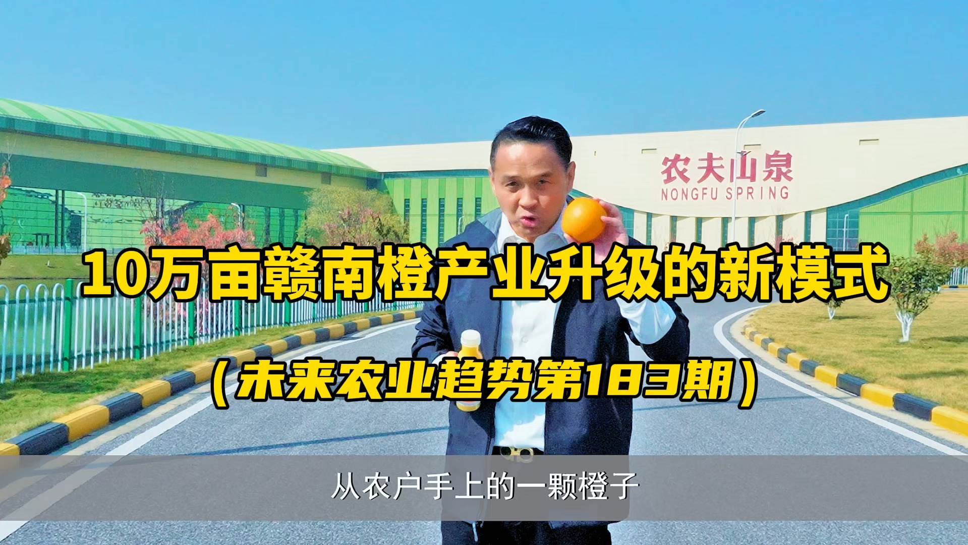 一颗赣南橙,背后产业升级模式!带你看10万亩赣南橙的产业升级方式哔哩哔哩bilibili