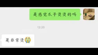 Descargar video: 【学习监督】打完之后烫烫的，这爪子还能要吗