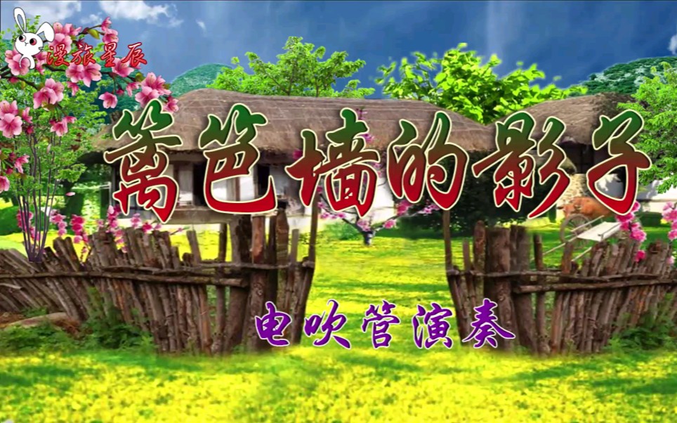 [电吹管]版《篱笆墙的影子》电视剧 篱笆女人和狗>主题曲 #再忆经典