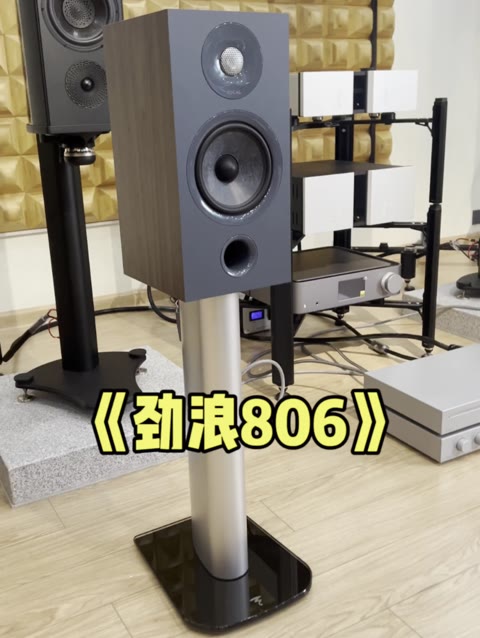 法国劲浪806书架音箱 hifi音响