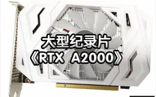 Download Video: 大型纪录片《RTX A2000》