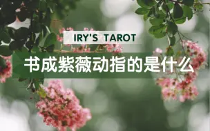 Download Video: 【Iry一芮塔罗】书成紫薇动指的是什么