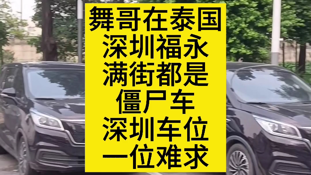 舞哥在泰国:深圳福永,满大街僵死车,城市车位一位难求#泰国养老#深圳福永#僵尸车#新能源车哔哩哔哩bilibili